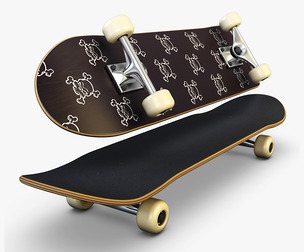 Skateboard v 4 3D Model