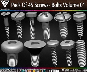 Pack Of 45 Screws- Bolts Volume 01