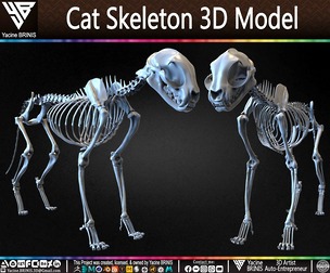 Cat Skeleton 3D Model