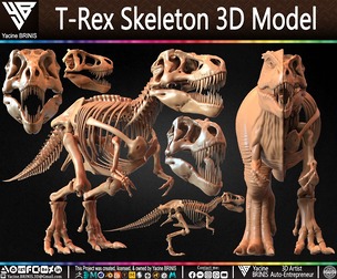 T-Rex Skeleton 3D Model