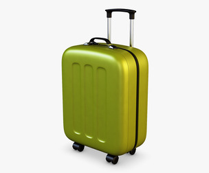 Suitcase Green v 1 3D Model