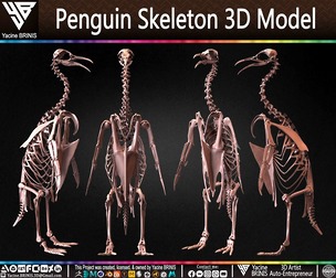Penguin Skeleton 3D Model
