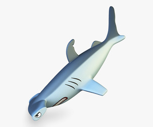 Hammerhead Shark v 1 3D Model