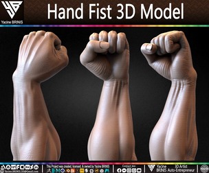 Hand Fist 3D Model