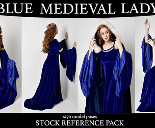 Blue Medieval Fantasy - Stock model reference pack