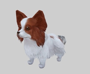 Q cartoon Papillon puppy