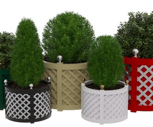 Decorative potted plants
