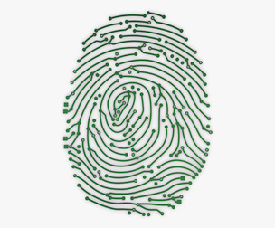Electronic Fingerprint v 1 3D Model