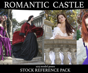 Romantic castle - Fantasy stock model reference pack