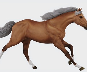 Running horse