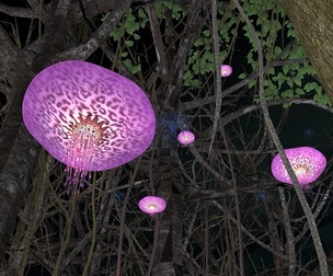 Avatar jellyfish Seeds from the Tree of Life