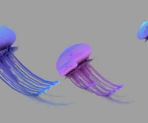 Binding drives the drawing of the jellyfish