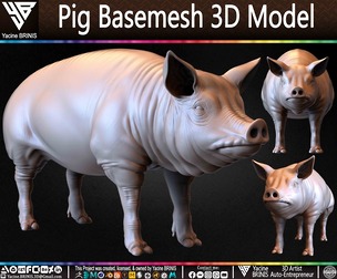 Pig Basemesh 3D Model