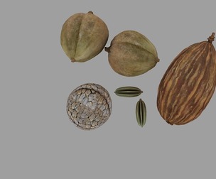 Grass cardamom grass fruit white cardamom cumin spices s