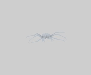 Ultra-fine realistic Alaskan king crab Rock crab Giant sea cra