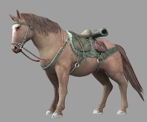The next era war horse steed horse sweat blood BMW ridin