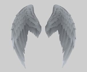 Next generation PBR Wings Angel Wings White Wings Ange