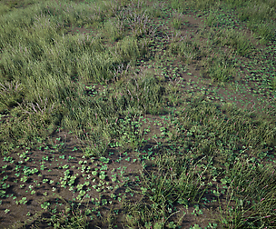Grass Pack