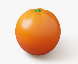 Orange Fruit Stylized