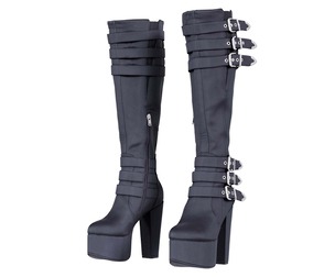 Buckled Boots