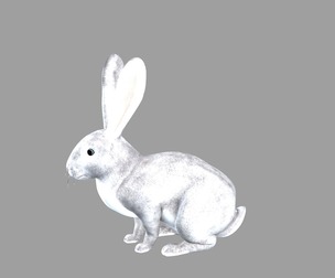 Next generation rabbit realistic rabbit gray rabbit long eared