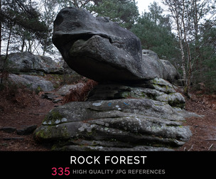 Rock Forest