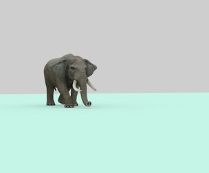 Elephants lead painting elephants lead elephants