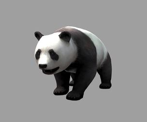 Giant panda animation
