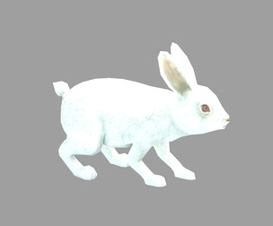 Bind rabbit cartoon rabbit low side rabbit lead drawing rabbi