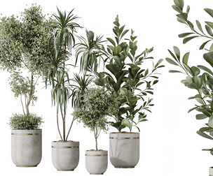AV Indoor plants set 187