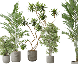 AV Indoor plants set 188