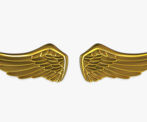 Eagle Wings Gold v 1 3D Model