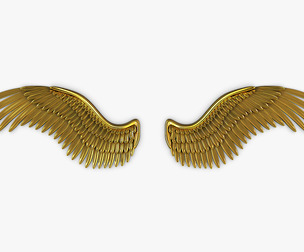 Eagle Wings Gold v 2 3D Model
