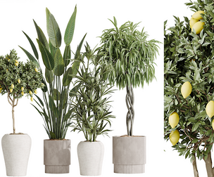 AV Indoor plants set 190
