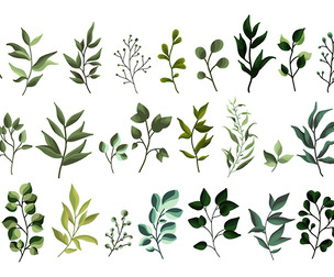 Greenery Leaf Plant Forest Herbs Tropical Leaves Spring Flora Watercolor, EPS File