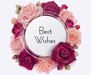 Pink banner, realistic elegant roses, luxury celebration EPS File
