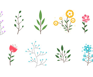 Minimal Decorative Wild Flowers Leaves, EPS File
