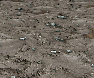 Ground Gravel Puddle Seamless