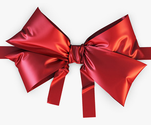 Bow v 4 3D Model
