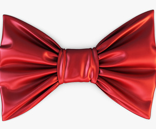 Bow Tie v 1 3D Model