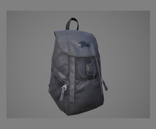 Bag Backpack 3D model 001
