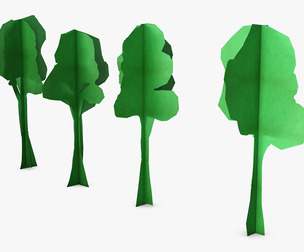 Fagaceae Tree Paper v 1 3D Model