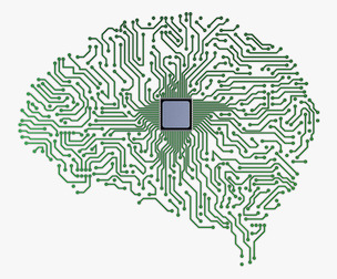 Electronic Circuit Board Brain v 1 3D Model