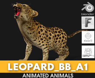Leopard Baby_A1
