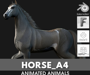 Horse_A4