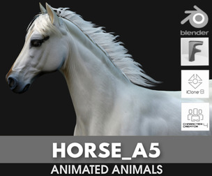Horse_A5