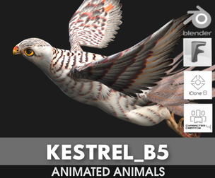 Kestrel_B5