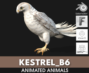 Kestrel_B6