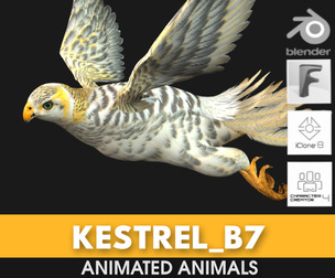 Kestrel_B7