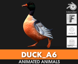 Duck_A6